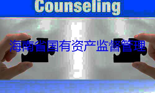 海南省国有查调查理委员会党资产监督管有福接受审委副书记王
